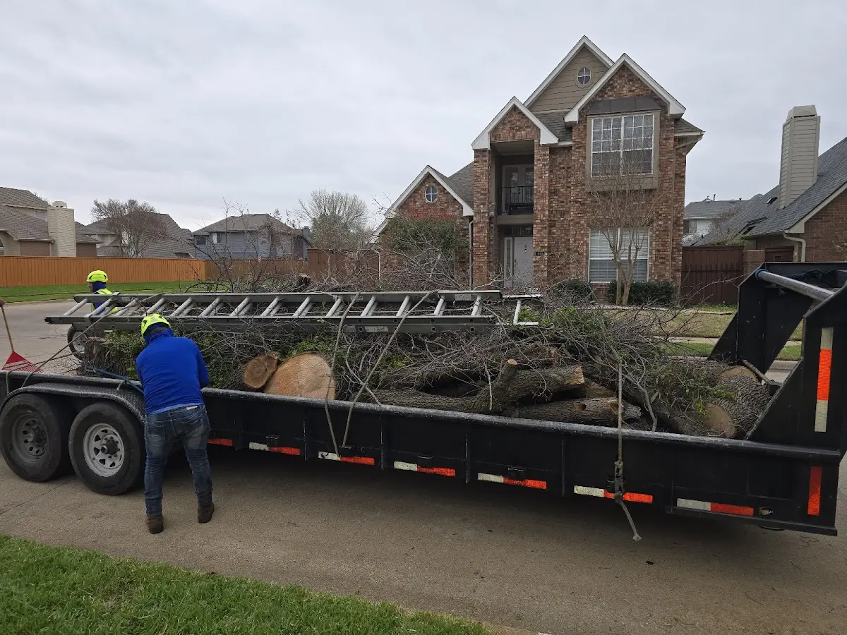 Expert Lot Clearing with proper safety equipment in Frisco